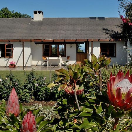 Heatherhill Farmhouse - Sea & Mountain Views Плеттенберг-Бей Экстерьер фото